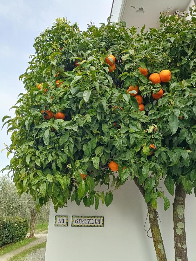 Appartement Locazione Turistica La Gesualda à Castelnuovo Magra Extérieur photo