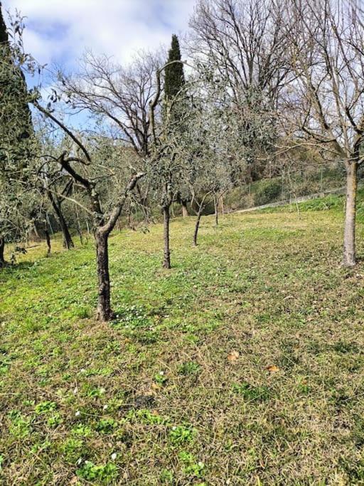 Appartement Locazione Turistica La Gesualda à Castelnuovo Magra Extérieur photo