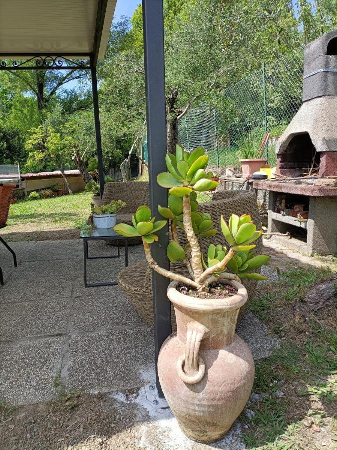 Appartement Locazione Turistica La Gesualda à Castelnuovo Magra Extérieur photo